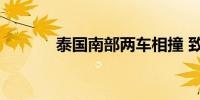 泰国南部两车相撞 致2死26伤