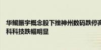 华鲲振宇概念股下挫神州数码跌停高新发展、华丰科技、荣科科技跌幅明显