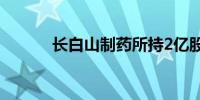 长白山制药所持2亿股权被冻结