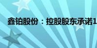 鑫铂股份：控股股东承诺12个月内不减持