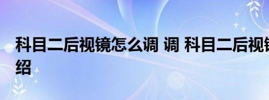 科目二后视镜怎么调 调 科目二后视镜方法介绍