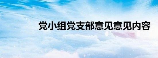 党小组党支部意见意见内容