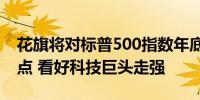 花旗将对标普500指数年底目标上调至5,600点 看好科技巨头走强