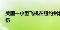 美国一小型飞机在纽约州北部坠毁 致一死一伤