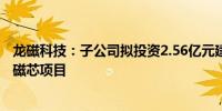 龙磁科技：子公司拟投资2.56亿元建设软磁铁氧体原材料及磁芯项目