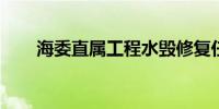 海委直属工程水毁修复任务全面完成