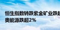 恒生指数转跌紫金矿业跌超4%理想汽车、新奥能源跌超2%