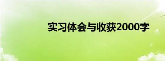 实习体会与收获2000字