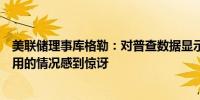 美联储理事库格勒：对普查数据显示人工智能已得到广泛使用的情况感到惊讶