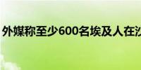 外媒称至少600名埃及人在沙特朝觐期间死亡