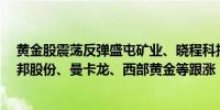 黄金股震荡反弹盛屯矿业、晓程科技涨超7%中金黄金、恒邦股份、曼卡龙、西部黄金等跟涨