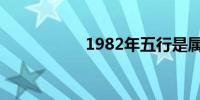 1982年五行是属什么