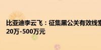 比亚迪李云飞：征集黑公关有效线索和证据查证属实后奖励20万-500万元