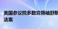 美国参议院多数党领袖舒默：将努力通过税收法案