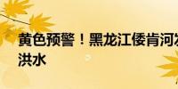 黄色预警！黑龙江倭肯河发生2024年第3号洪水