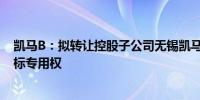 凯马B：拟转让控股子公司无锡凯马50%股权及相关注册商标专用权