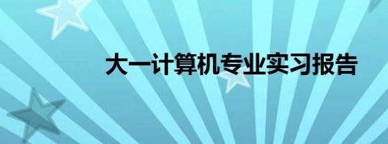 大一计算机专业实习报告