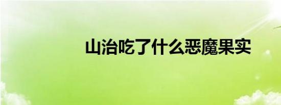 山治吃了什么恶魔果实