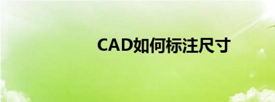 CAD如何标注尺寸