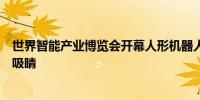 世界智能产业博览会开幕人形机器人、无人驾驶载人航空器吸睛