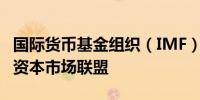 国际货币基金组织（IMF）：敦促欧元区推进资本市场联盟