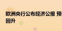 欧洲央行公布经济公报 预计今年经济将小幅回升