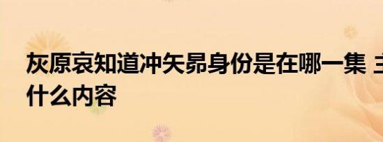 灰原哀知道冲矢昴身份是在哪一集 主要讲了什么内容