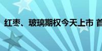 红枣、玻璃期权今天上市 首批合约共286个