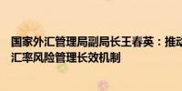 国家外汇管理局副局长王春英：推动金融机构建立健全企业汇率风险管理长效机制