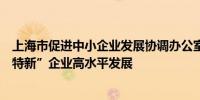 上海市促进中小企业发展协调办公室：多方施策推动“专精特新”企业高水平发展