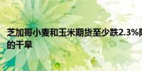 芝加哥小麦和玉米期货至少跌2.3%降雨料将缓和俄罗斯南部的干旱