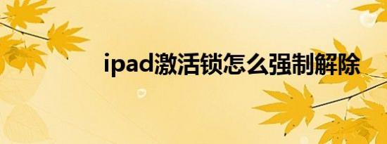 ipad激活锁怎么强制解除