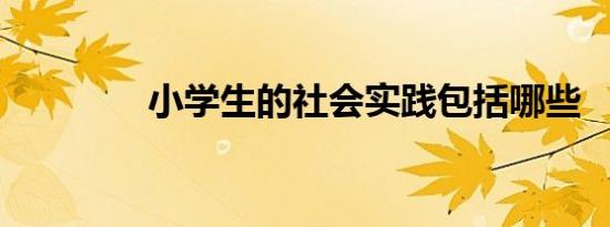 小学生的社会实践包括哪些