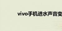 vivo手机进水声音变小怎么办