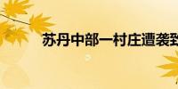 苏丹中部一村庄遭袭致17人死亡