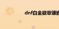 dnf白金徽章镶嵌哪里