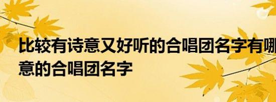 比较有诗意又好听的合唱团名字有哪些 有诗意的合唱团名字