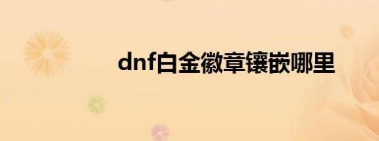 dnf白金徽章镶嵌哪里