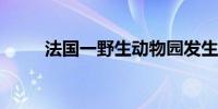 法国一野生动物园发生狼袭人事件