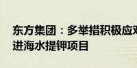 东方集团：多举措积极应对财务状况 稳步推进海水提钾项目