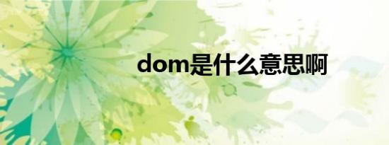 dom是什么意思啊