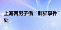 上海两男子借“胖猫事件”杜撰谣言被警方查处