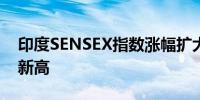 印度SENSEX指数涨幅扩大至0.6%续创历史新高