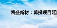 凯盛新材：募投项目延期至2026年