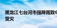 黑龙江七台河市强降雨致6000余公顷农作物受灾