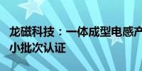 龙磁科技：一体成型电感产品正逐步进入客户小批次认证