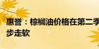 惠誉：棕榈油价格在第二季度回落并可能进一步走软