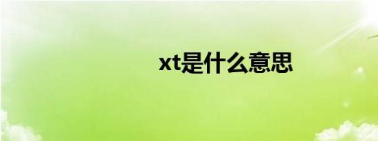 xt是什么意思