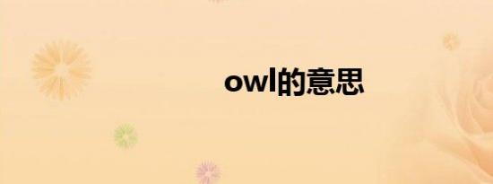 owl的意思