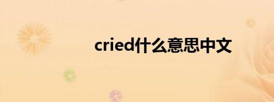 cried什么意思中文